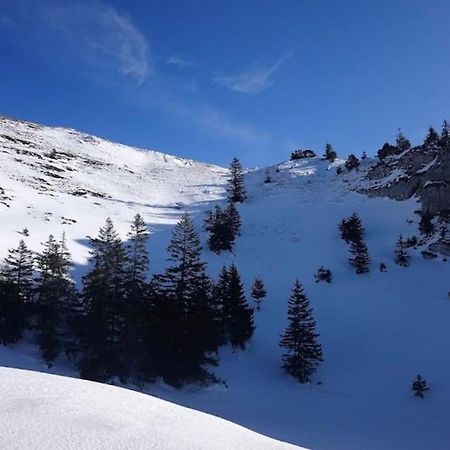 Nice And Cosy Flat Near Geneva Or Annecy Бельґард-сюр-Вальсерін Екстер'єр фото