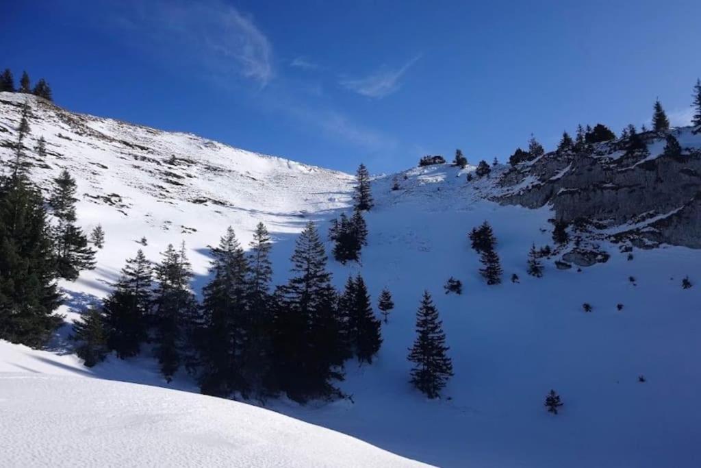Nice And Cosy Flat Near Geneva Or Annecy Бельґард-сюр-Вальсерін Екстер'єр фото