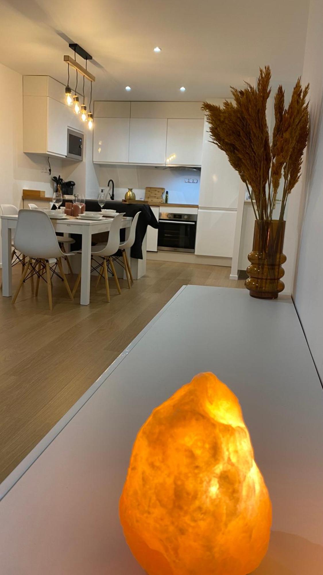 Nice And Cosy Flat Near Geneva Or Annecy Бельґард-сюр-Вальсерін Екстер'єр фото